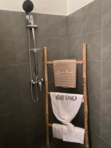 eine Dusche im Bad mit einem Handtuch auf einem Kleiderständer in der Unterkunft Nino Ranch Lodge 