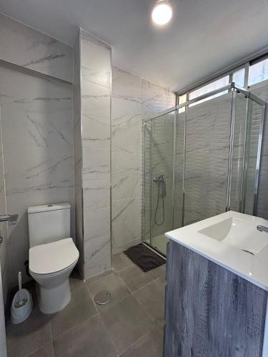 a bathroom with a toilet and a shower and a sink at Las Palmeras -Marbella Centro- by Completely Marbella in Marbella