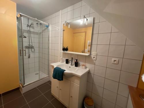 een badkamer met een wastafel, een douche en een spiegel bij Appart' Privé à Issoudun : Confort et Style in Issoudun