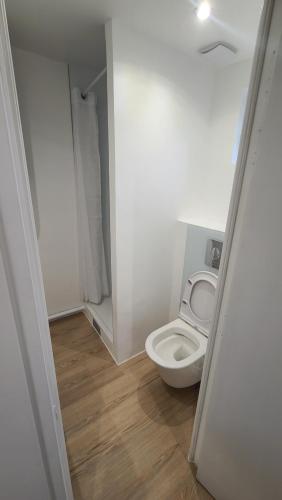 a small bathroom with a toilet and a shower at Petit séjour en chalet in Crécy-la-Chapelle