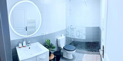 een badkamer met een toilet, een wastafel en een spiegel bij Le P'tit Cocon in Mâcon
