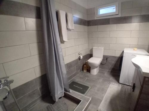 a bathroom with a toilet and a sink and a shower at House in Amfilochia- Μονοκατοικία in Amfilochía