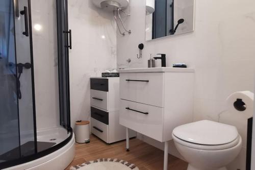 y baño blanco con aseo y ducha. en Apartman Liburna, en Rijeka