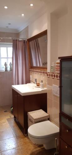 een badkamer met een wastafel, een toilet en een spiegel bij Tina`s home in Gütersloh