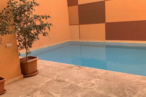 uma piscina com um vaso de plantas ao lado em Appartement neuf climatisé, centre Marrakech. em Marrakech