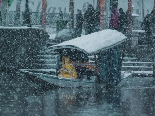a dog sitting in a gazebo in the snow at Hb nancy group of houseboats in Srinagar