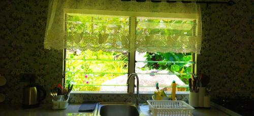 Taman di luar Dan Zoranz Self Catering Guest House
