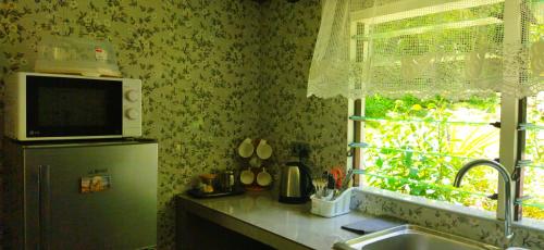 a kitchen with a sink and a window at Dan Zoranz Self Catering Guest House in La Digue