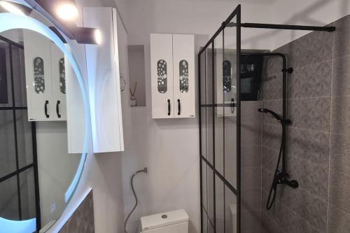 a bathroom with a shower and a toilet and a mirror at Cosy and stylish studio in Bucharest