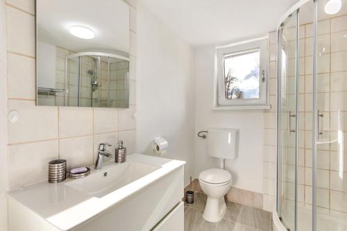 La salle de bains est pourvue d'un lavabo, de toilettes et d'un miroir. dans l'établissement Nature Cottage in Gabrce with sauna, à Rogaška Slatina