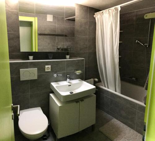 a bathroom with a sink and a toilet and a shower at Anzère, appartement cozy au coeur des Alpes in Anzère
