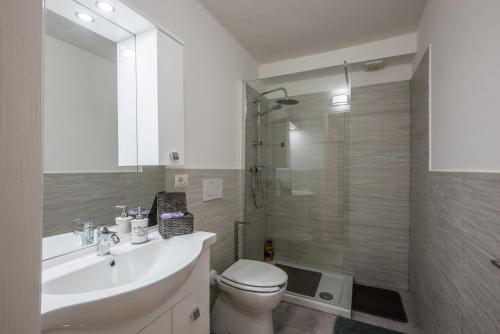 y baño con aseo, lavabo y ducha. en Casa Al Colle Buonconvento, en Buonconvento
