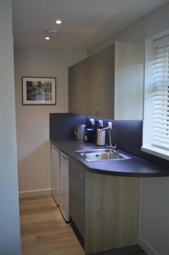 een keuken met een wastafel en een aanrecht bij Greenfield Studio in Cardiff
