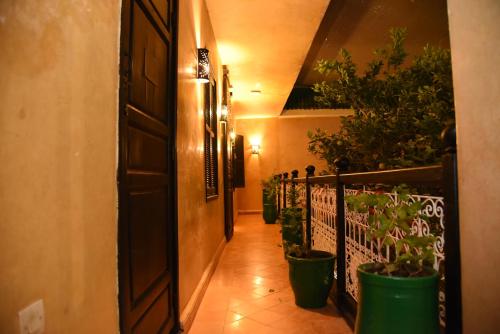 a hallway with potted plants and an open door at Riad Du Petit Prince in Marrakech