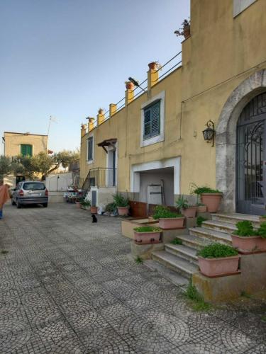 a building with a bunch of potted plants on a street at Casa Bianca in Licata