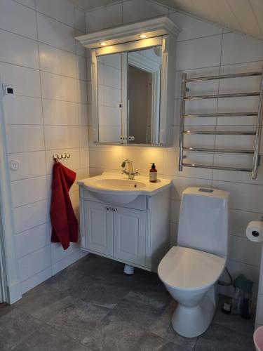 a bathroom with a toilet and a sink and a mirror at Sällinge House - Cozy Villa with Fireplace and Garden close to Uppsala in Uppsala