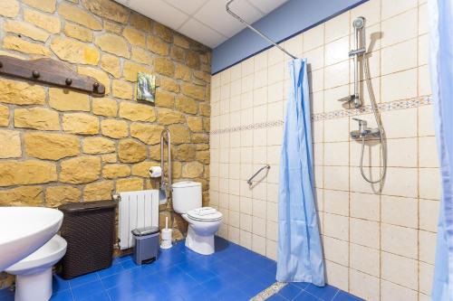 a bathroom with a toilet and a sink and a shower at BARRUTI LANDARBIDE - Para desconectar en plena naturaleza in Aia