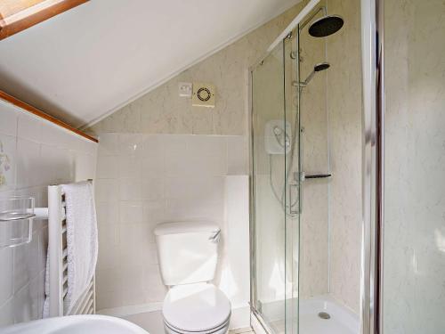 a bathroom with a toilet and a shower at 2 bed property in Brynteg West Wales 81353 in Llanwenog