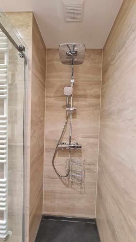 a shower in a bathroom with a glass door at Apartament Zygmuntowski in Gliwice