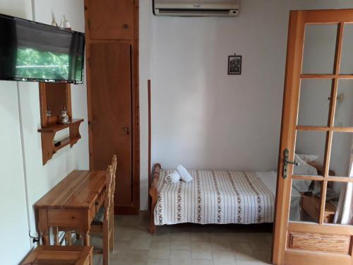 a small room with a small bed and a television at Dimi's studio in Skala Kallonis