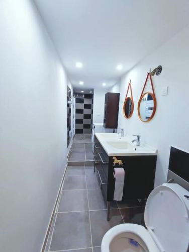 une salle de bain avec toilettes et lavabo dans l'établissement Agréable maison 8 personnes WIFI et clim, à Marmeaux