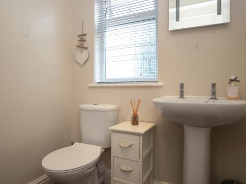 a bathroom with a toilet and a sink and a window at Ty Gwartheg in Trevine