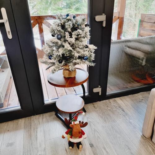 Foto sihtkohas Buşteni asuva majutusasutuse Chalet Amik galeriist
