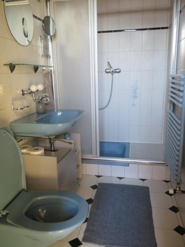 a bathroom with a toilet and a sink and a shower at Drosera appartement et studio de vacances in La Chaux-du-Milieu