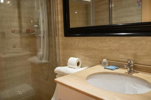 a bathroom with a sink and a shower at Hotel Di Torlaschi in Valdivia