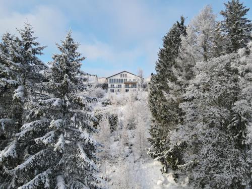 uma casa é vista através das árvores cobertas de neve em Landhotel Fernsicht em Winterberg