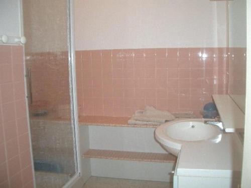 łazienka z umywalką i prysznicem w obiekcie Studio cosy avec terrasse, parking et wifi - Idéal cures et centre-ville, Amélie-les-Bains - FR-1-703-3 w mieście Amélie-les-Bains-Palalda