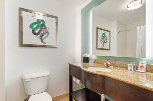 a bathroom with a sink and a toilet and a mirror at Comfort Inn & Suites Port Charlotte-Punta Gorda in Port Charlotte