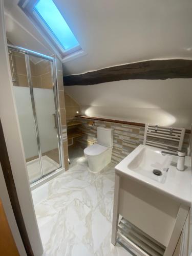 W łazience znajduje się toaleta, prysznic i umywalka. w obiekcie Gîte Le Chêne doré w mieście La Boussac