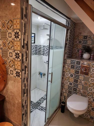 une salle de bain avec toilettes et douche en verre dans l'établissement Détente, à Bischwiller