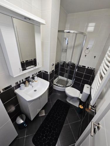 een badkamer met een wastafel, een douche en een toilet bij L&V Apartmani in Novi Grad
