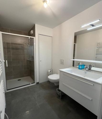 une salle de bain avec toilettes, lavabo et douche dans l'établissement Studio Hermine neuf pour 2 personnes au cœur de St, à Saint-Malo