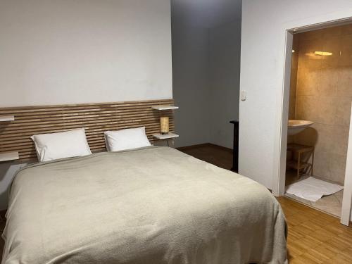 1 Schlafzimmer mit einem großen Bett und einem Badezimmer in der Unterkunft Grande chambre avec Salle de Bains Privative in Lausanne