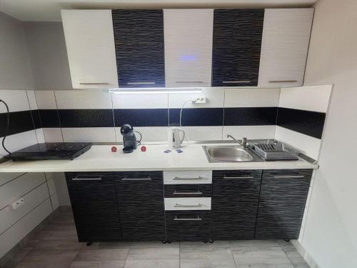 uma cozinha com um lavatório e uma bancada em Hajnal Apartman em Hajdúszoboszló