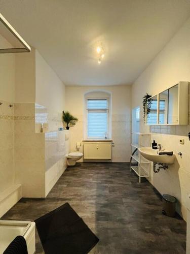 een badkamer met een wastafel, een toilet en een raam bij Monteurswohnung an der Mulde in Döbeln