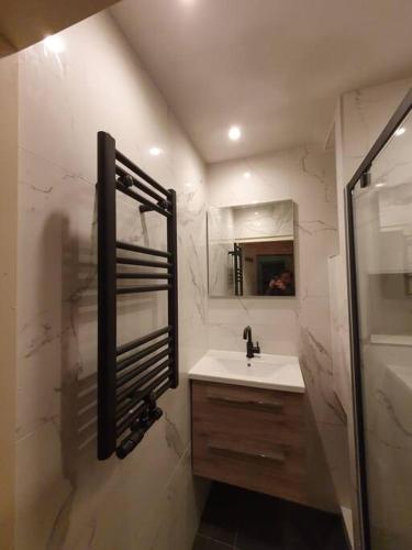 a bathroom with a sink and a shower with a mirror at Appartement met 2 slaapkamers en tuin in Amsterdam in Amsterdam