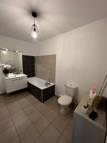 une salle de bain avec une baignoire, des toilettes et un lavabo dans l'établissement Agatha : ACCES FACILE GARE PARDIEU / EUREXPO / AEROPORT / GROUPAMA STADIUM, à Villeurbanne
