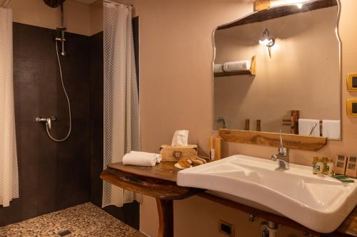 a bathroom with a sink and a shower and a mirror at Chalet d'Aoste in Aosta