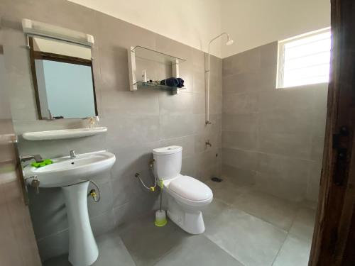 a bathroom with a white toilet and a sink at Les Amazones Rouges Chambre Verte in Ouidah