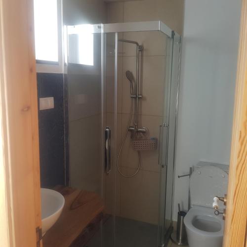 a bathroom with a shower with a sink and a toilet at Vale dos Ilhéus in Machico