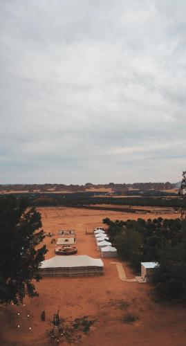 a group of vehicles parked in a dirt field at Almansour farm in Al-ʿUla