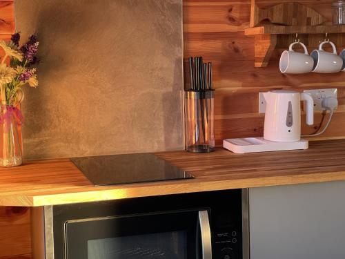 a kitchen with a counter top with a microwave at Lakeside Fishing Retreats in Boston