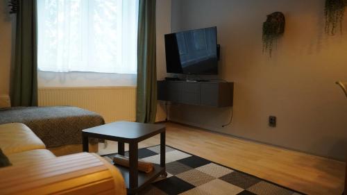 TV a/nebo společenská místnost v ubytování Apartmán u potoka