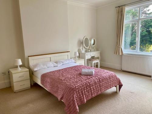a bedroom with a large bed and a mirror at Magnificent 5 bedrooms London house in Bromley