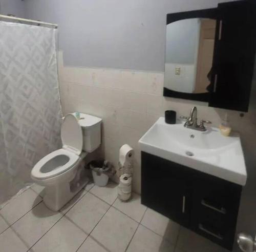 a bathroom with a toilet and a sink and a mirror at Caribbean Dreams in Mayaguez