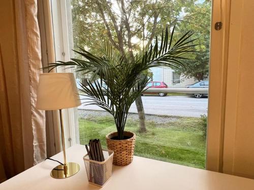 a plant sitting on a table next to a window at Viihtyisä kaksio Annalassa, Free parking & Sauna in Tampere